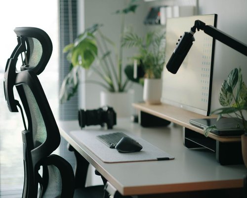 A clean, ergonomic desk setup with a monitor, keyboard, and a plant